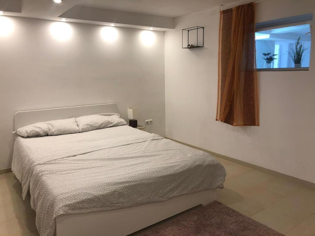 Bescheidene Untergeschoss Wohnung In Guter Lage. Köln Exterior foto